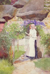 Alte Cottages in Tatchbrook